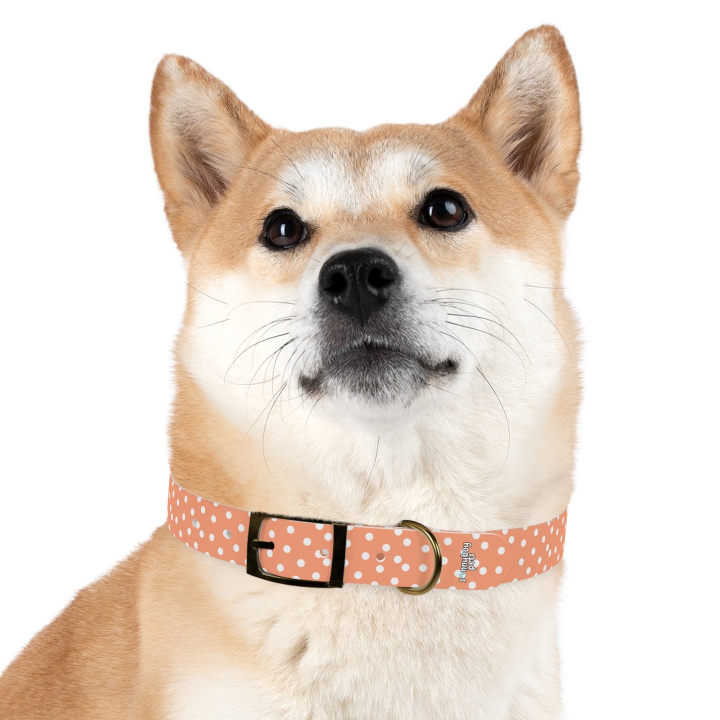 Custom Name Adjustable Pet Collar - Orange