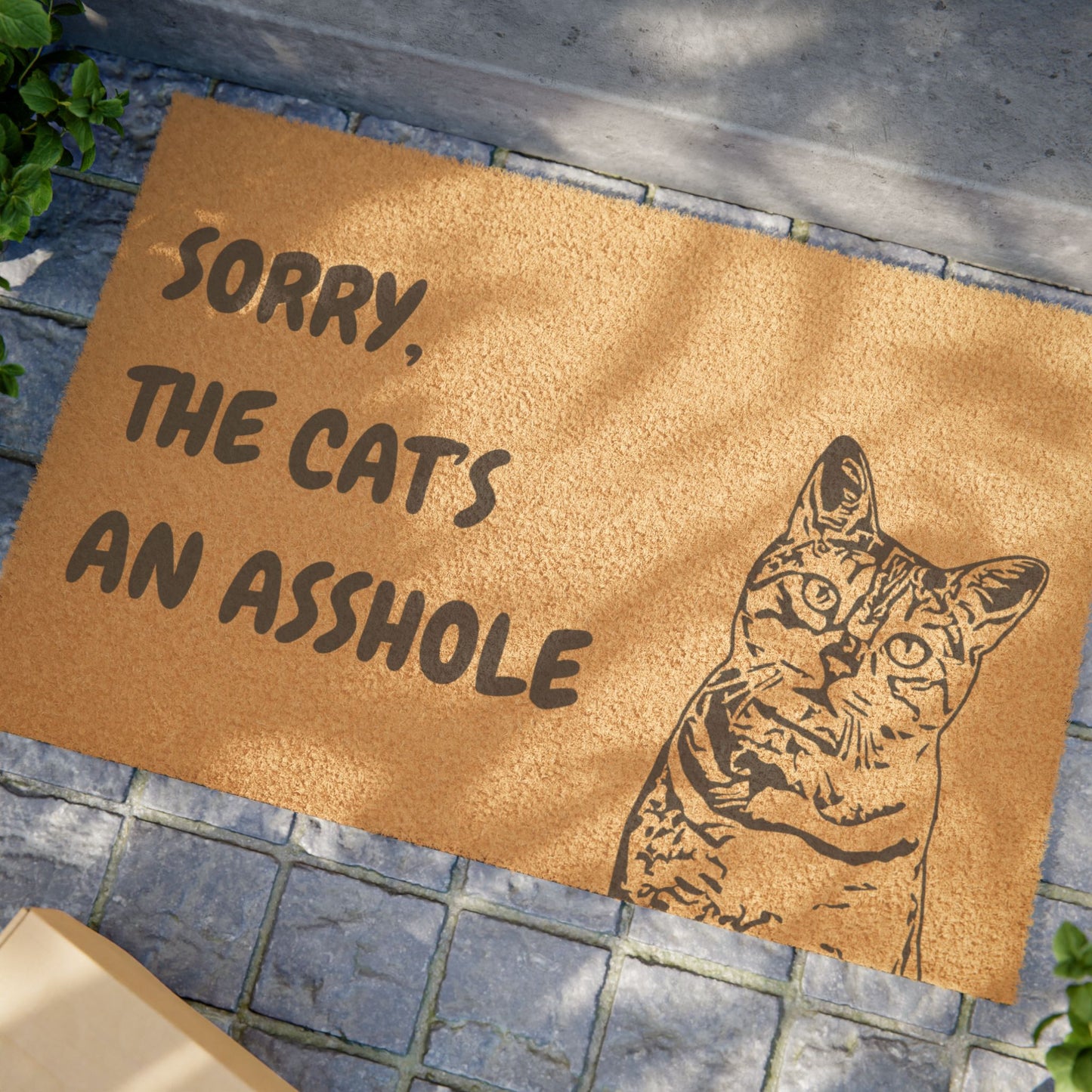 Funny Pet Doormat – “Sorry, the Cat’s An Asshole” Welcome Mat | Pet Lover Gift, Cat Owner Home Decor, Funny Housewarming Gift, Outdoor Entry Mat