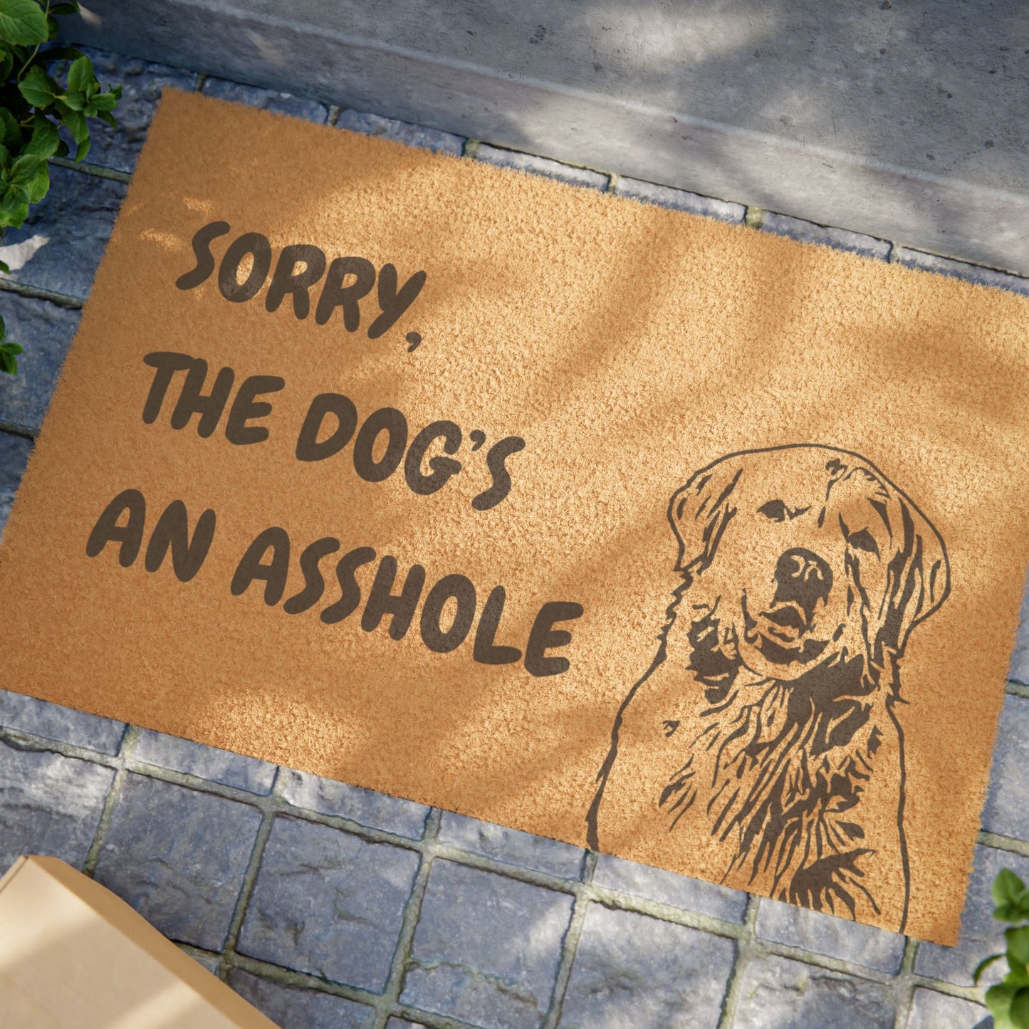 Funny Pet Doormat – “Sorry, the Dog's An Asshole” Welcome Mat | Pet Lover Gift, Dog Owner Home Decor, Funny Housewarming Gift, Outdoor Entry Mat