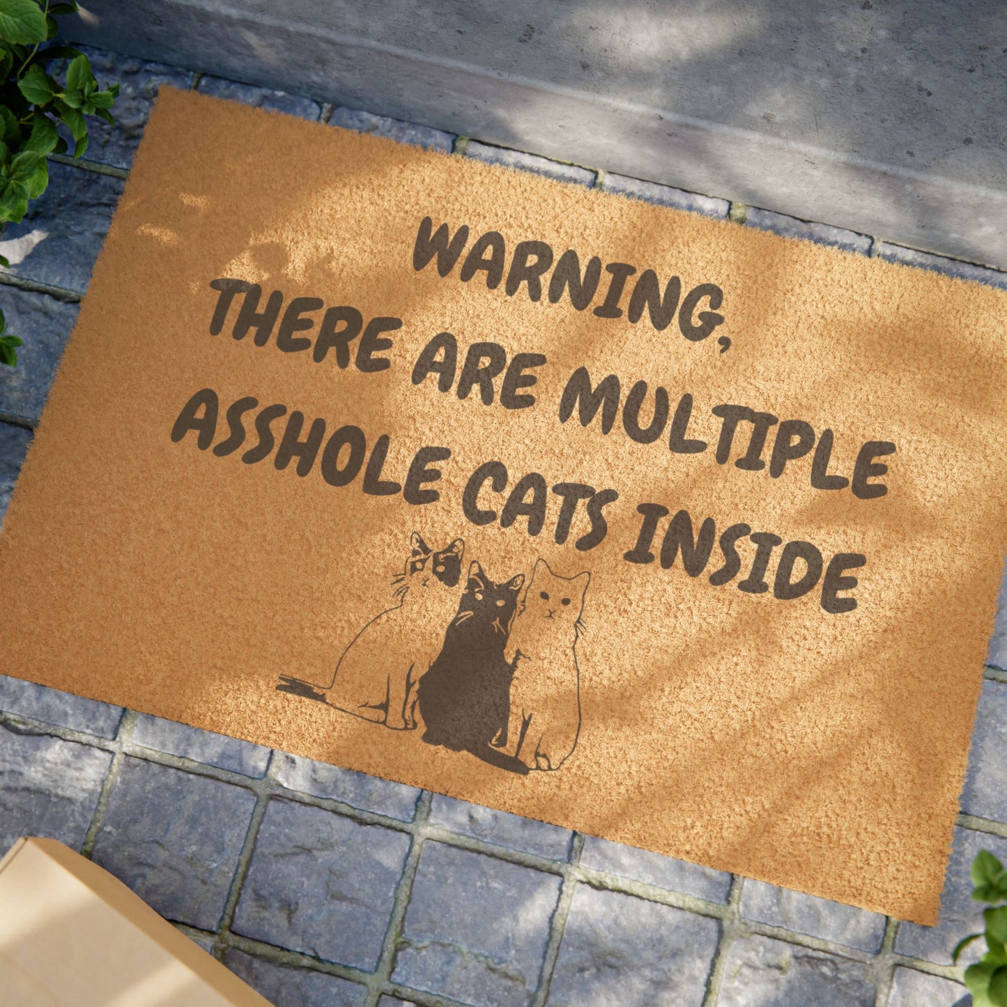 Funny Pet Doormat – “There Are Multiple Asshole Cats Inside” Welcome Mat | Pet Lover Gift, Cat Owner Home Decor, Funny Housewarming Gift, Outdoor Entry Mat