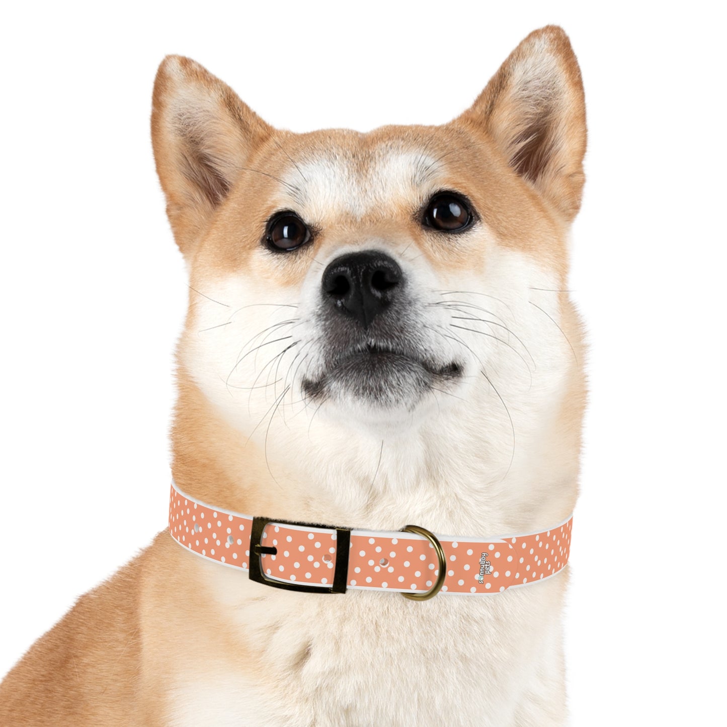 Custom Name Adjustable Pet Collar - Orange