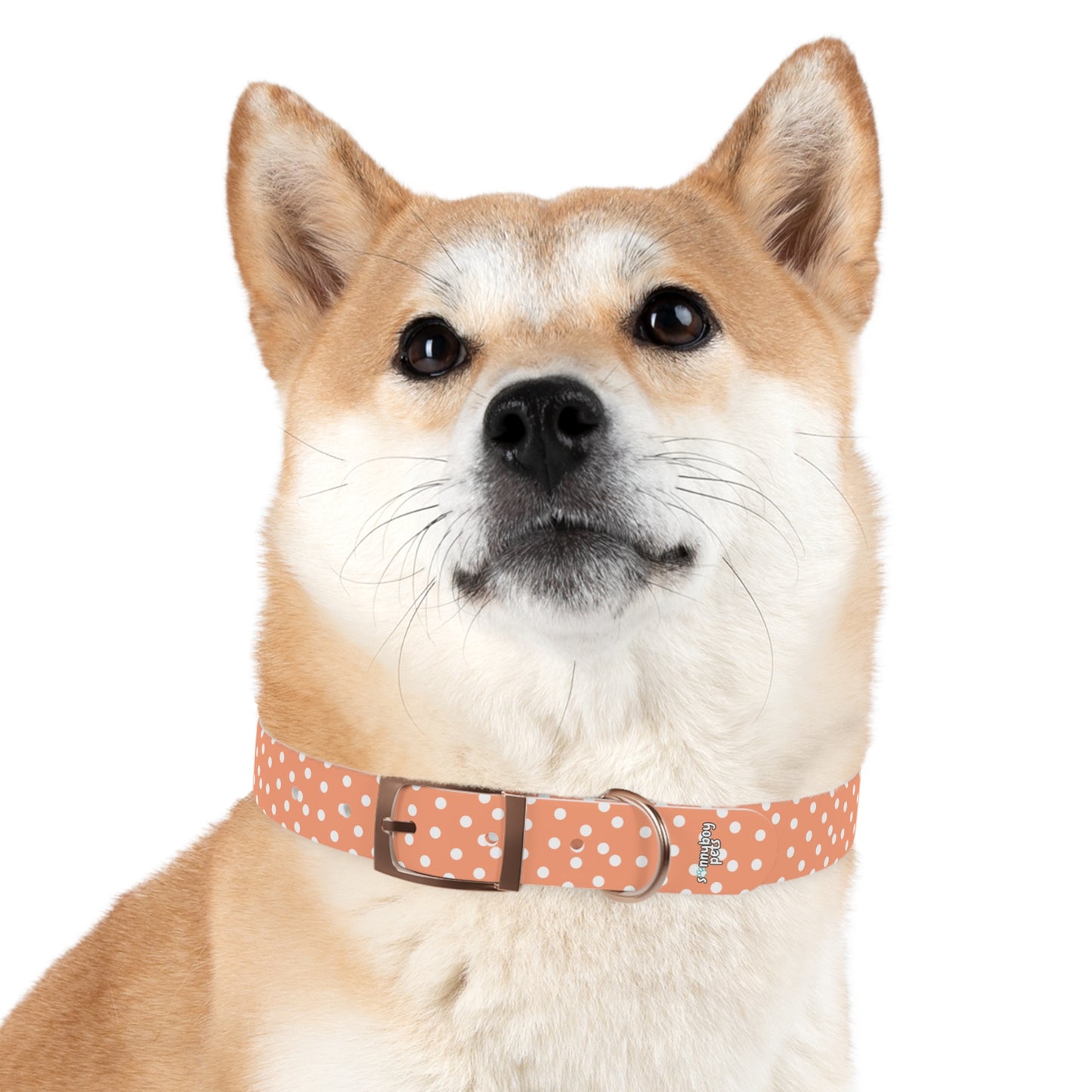 Custom Name Adjustable Pet Collar - Orange