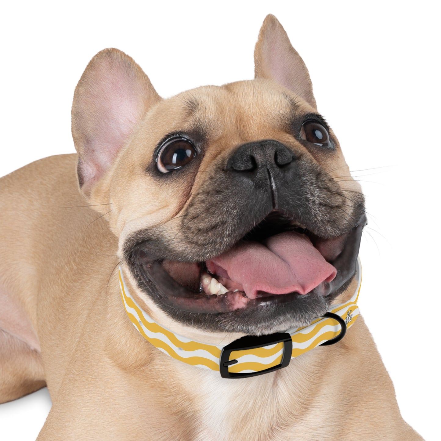 Custom Name Adjustable Pet Collar - Yellow