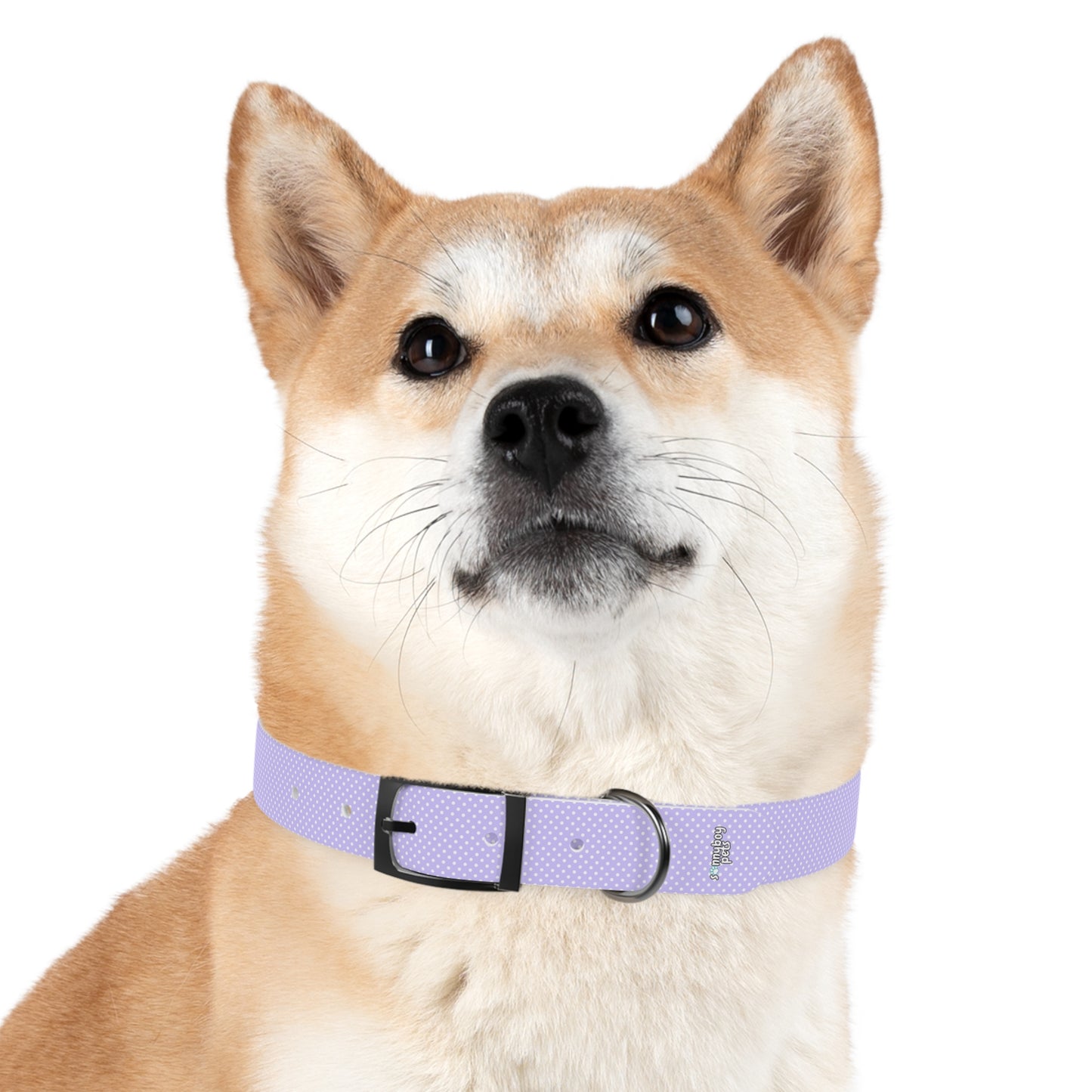 Custom Name Adjustable Pet Collar - Purple