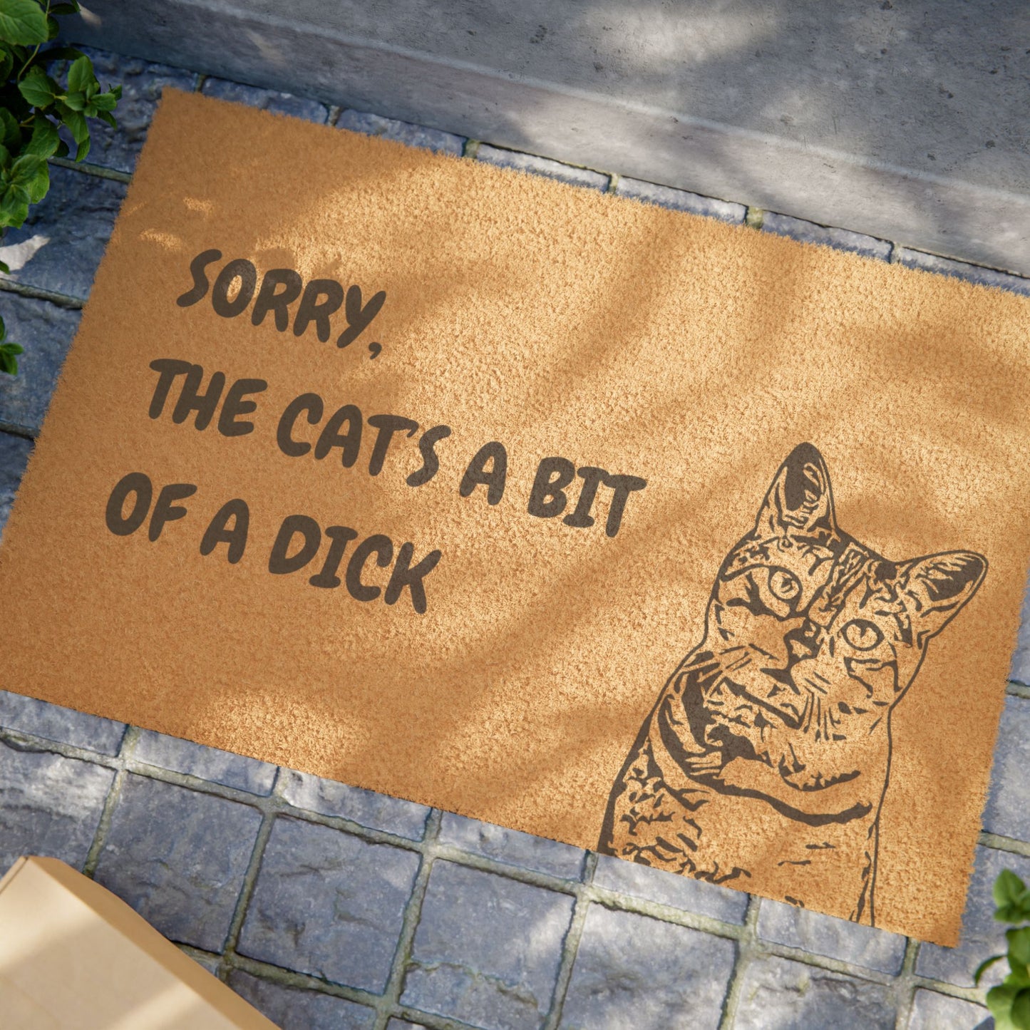 Funny Pet Doormat – “Sorry, the Cat’s A Bit Of A Dick” Welcome Mat | Pet Lover Gift, Cat Owner Home Decor, Funny Housewarming Gift, Outdoor Entry Mat