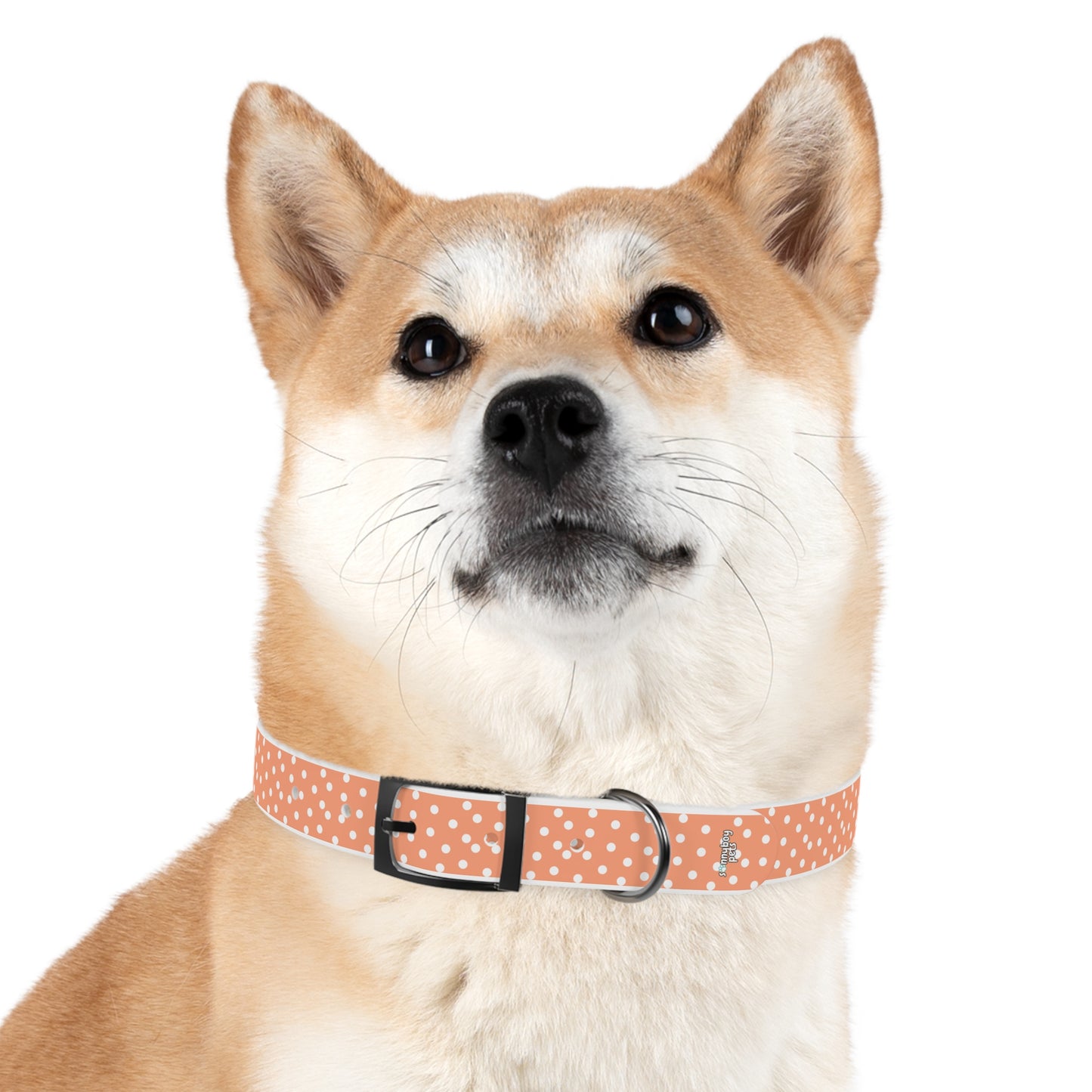 Custom Name Adjustable Pet Collar - Orange
