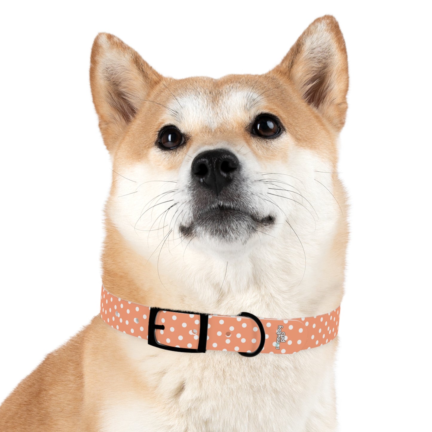 Custom Name Adjustable Pet Collar - Orange