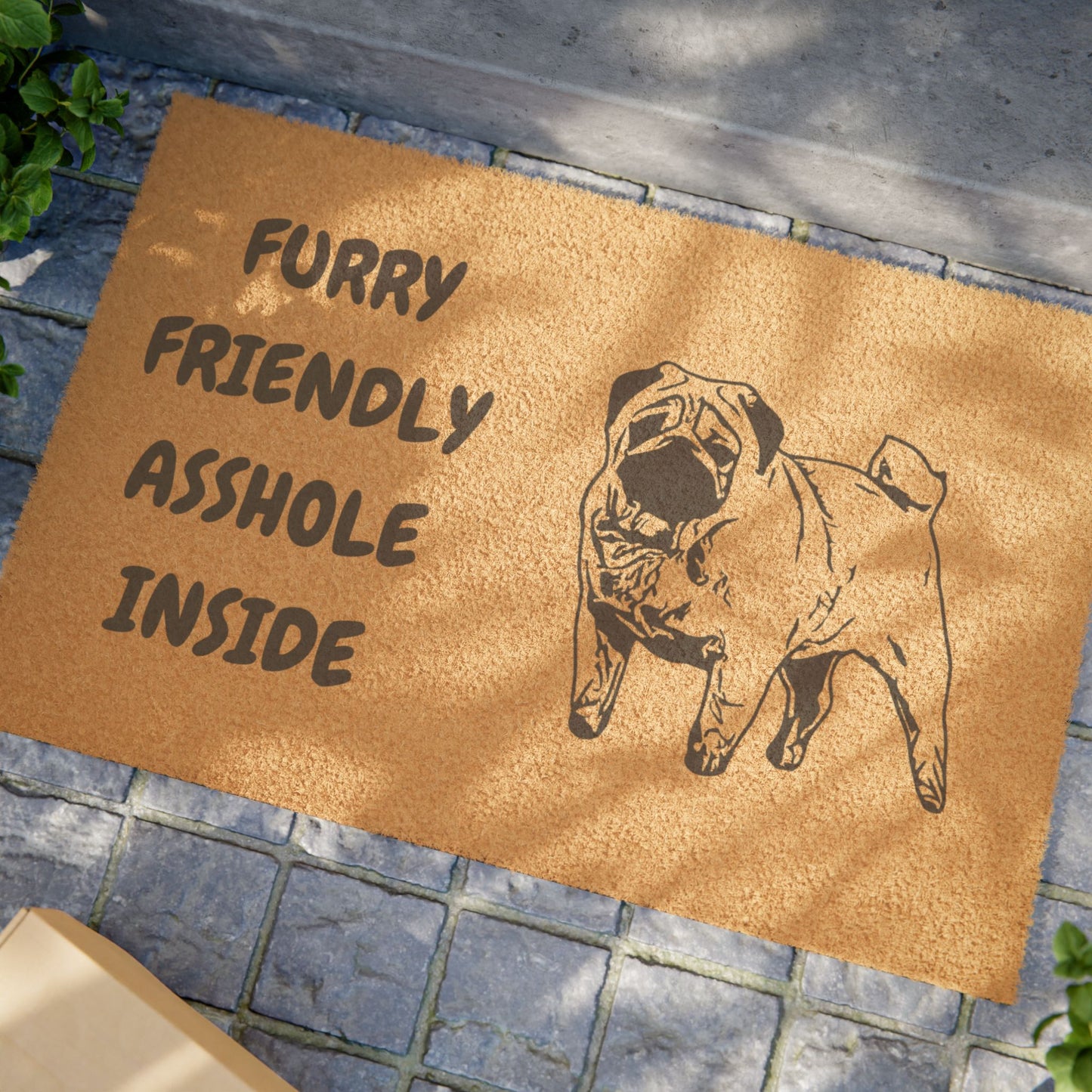 Funny Pet Doormat – “Furry Friendly Asshole Inside” Welcome Mat | Pet Lover Gift, Dog Owner Home Decor, Funny Housewarming Gift, Outdoor Entry Mat