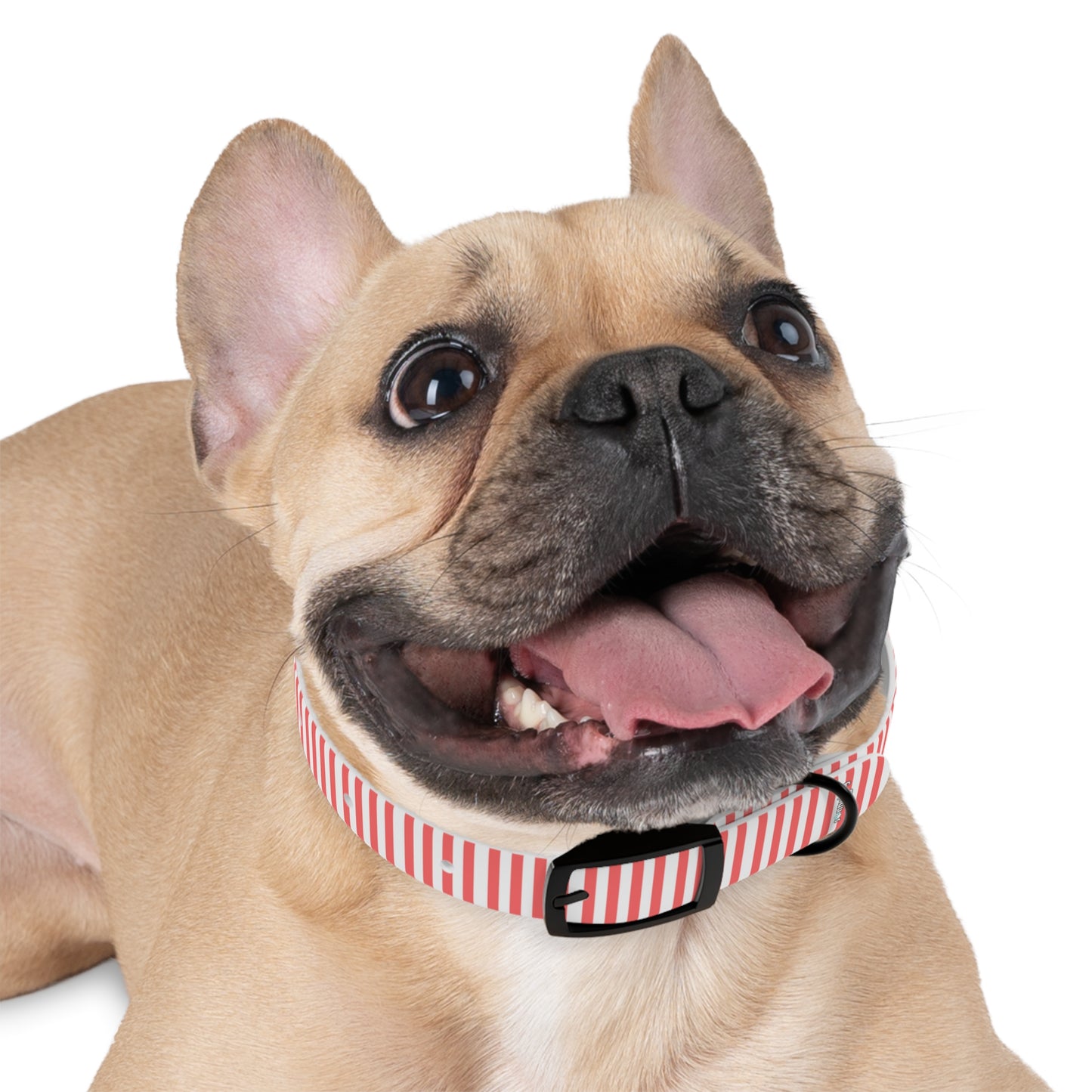 Custom Name Adjustable Pet Collar - Pink