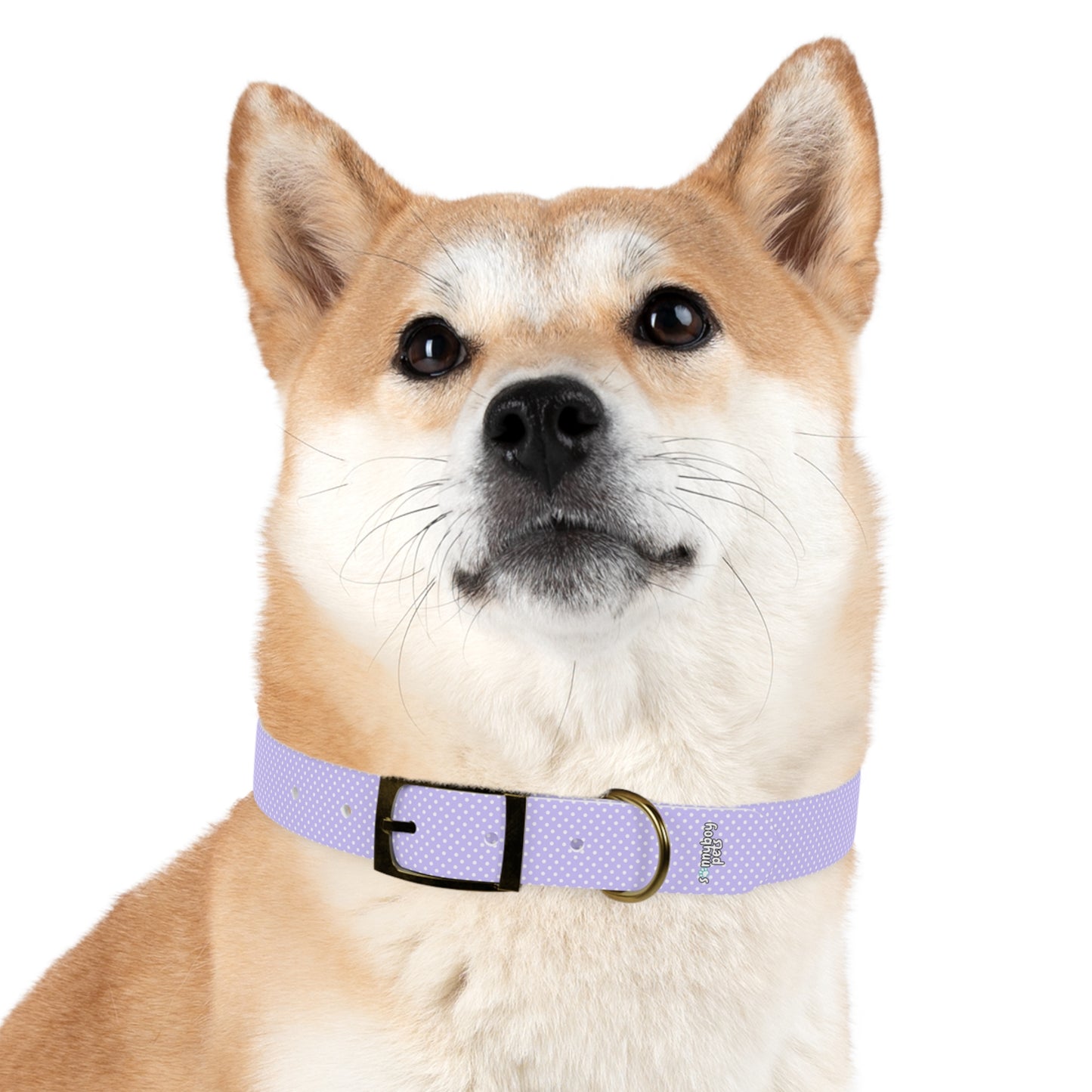 Custom Name Adjustable Pet Collar - Purple