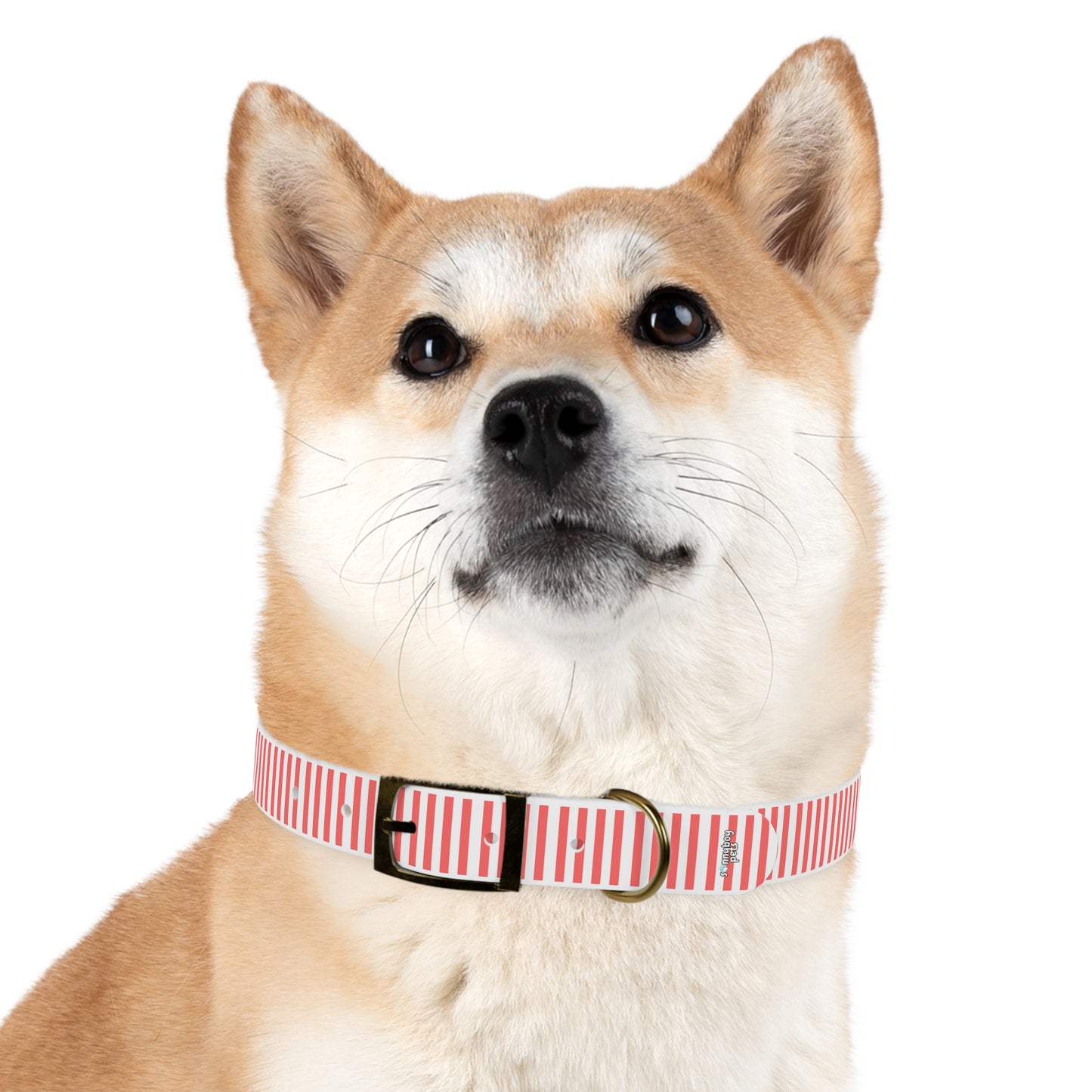 Custom Name Adjustable Pet Collar - Pink