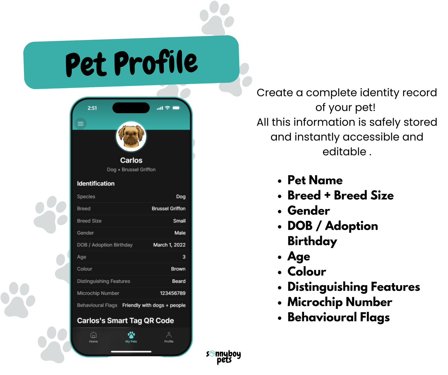 Smart QR Pet Tag