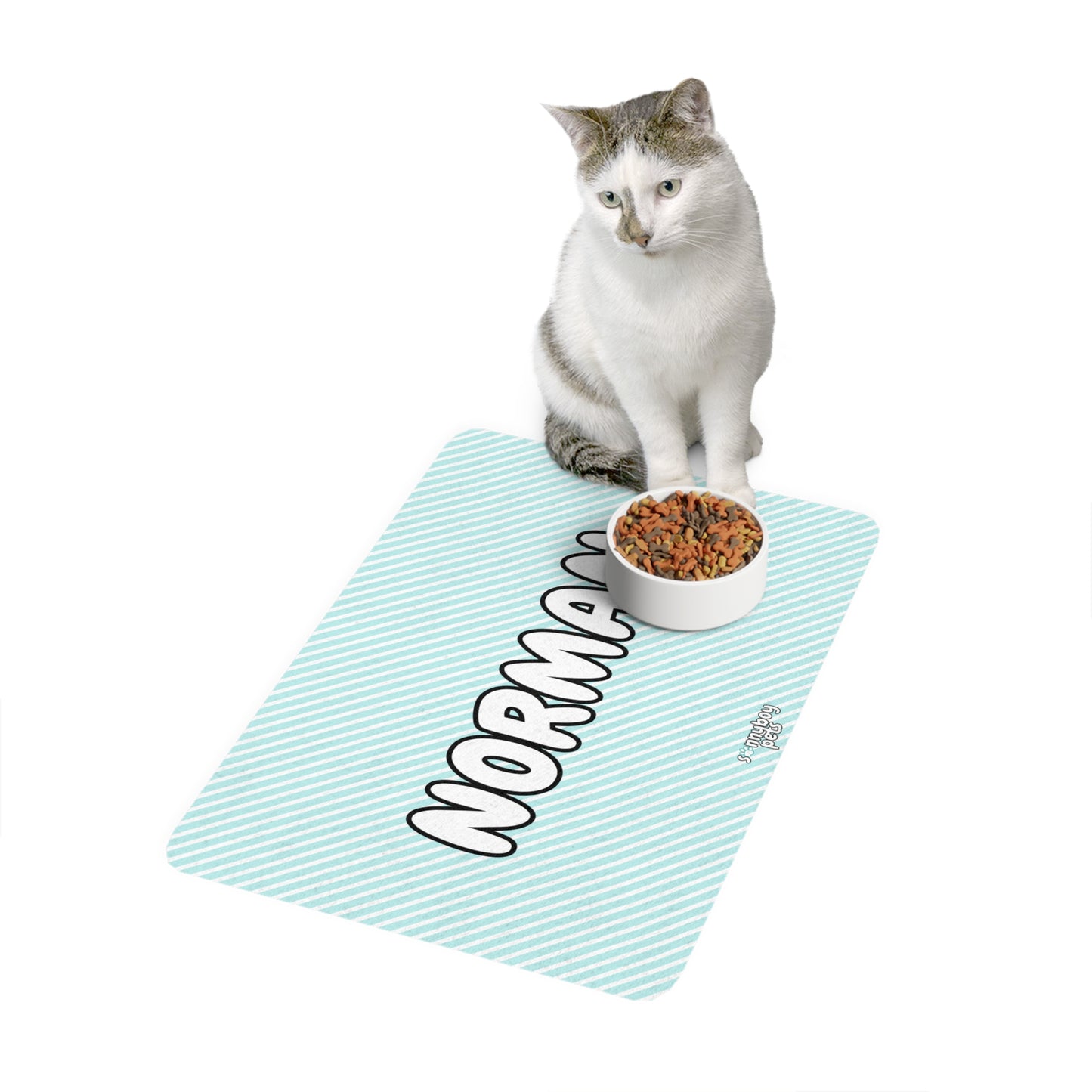 Custom Name Pet Food Mat