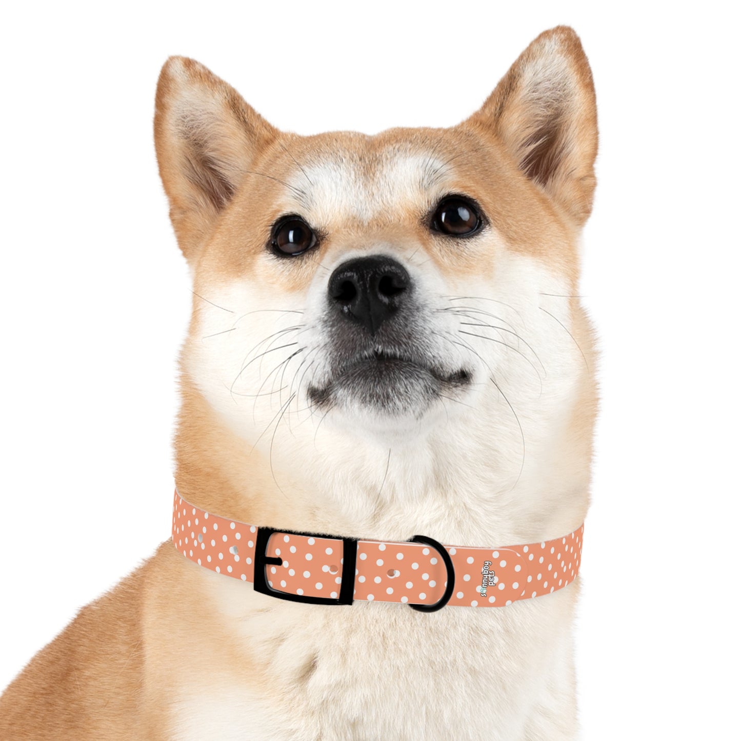 Custom Name Adjustable Pet Collar - Orange