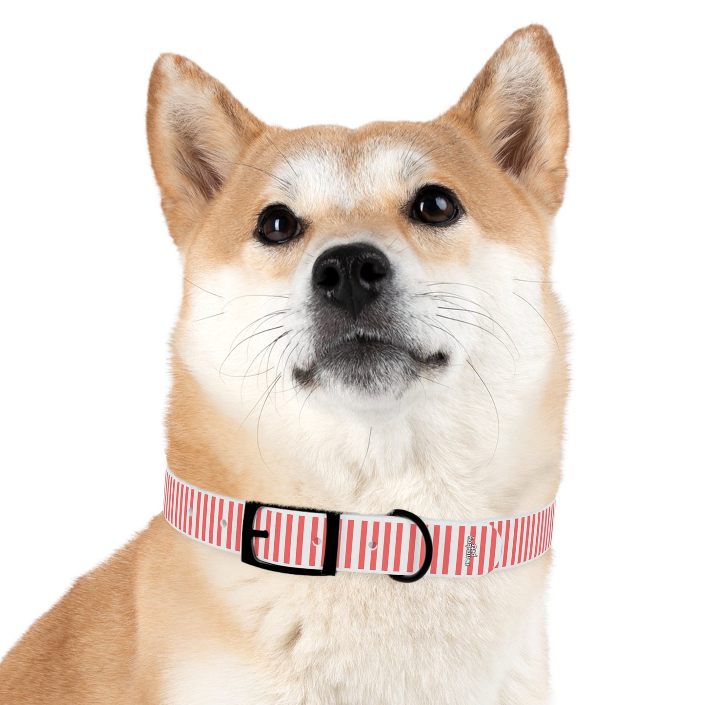 Custom Name Adjustable Pet Collar - Pink