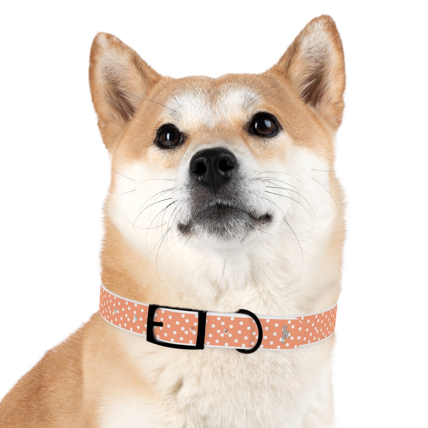 Custom Name Adjustable Pet Collar - Orange